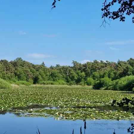شقة Frauenpreiss-309
